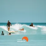 #166 Stylish Comfortable